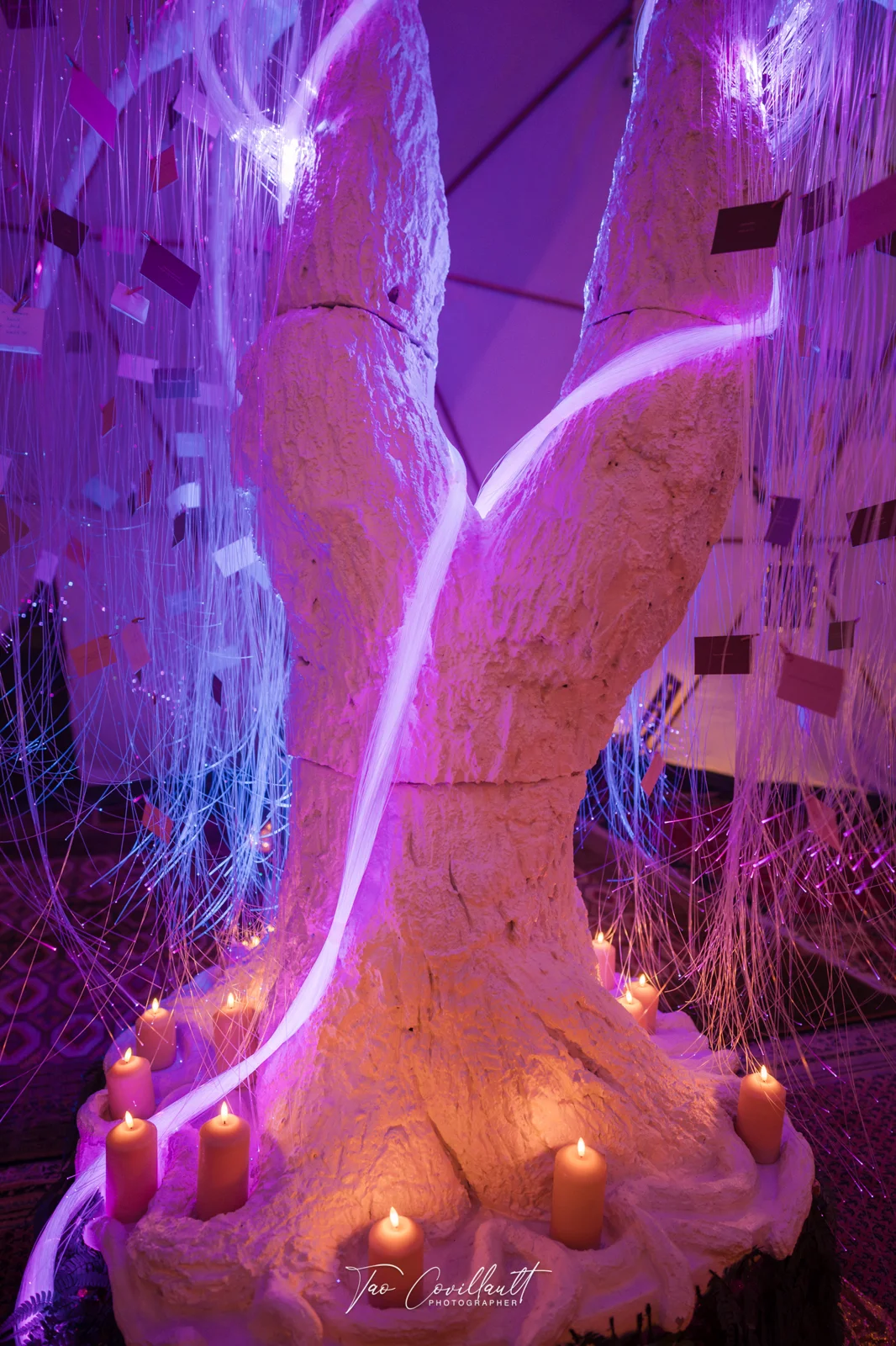 Heal Play Love 2026 — Dome — event photograph 29