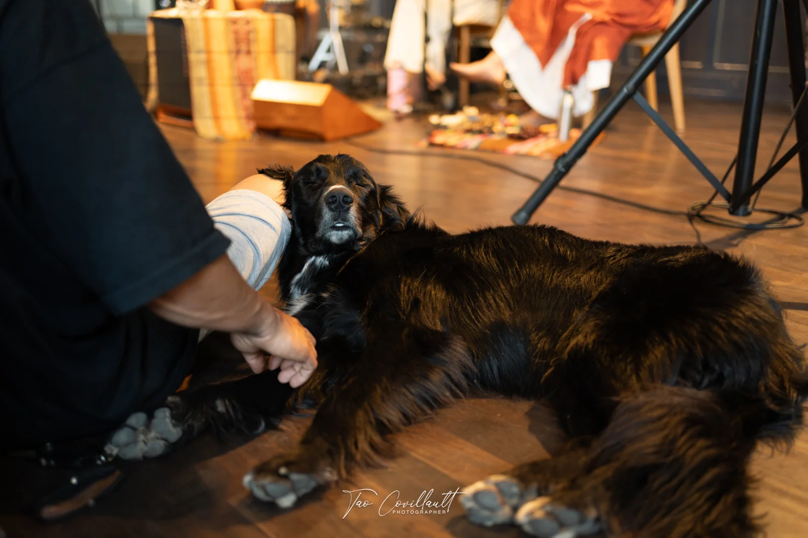 Lisa Anuloma — Album Pre-Release Concert — event photograph 26