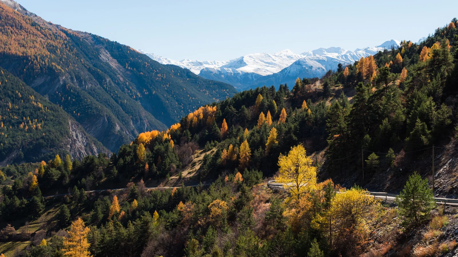 Autumn forest covering a broad mountain valley