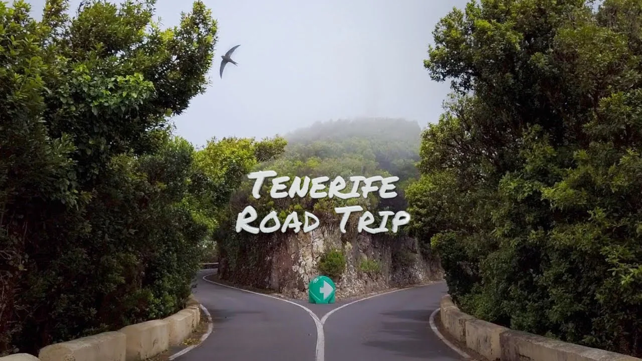 Tenerife (North) - Road Trip — official video poster